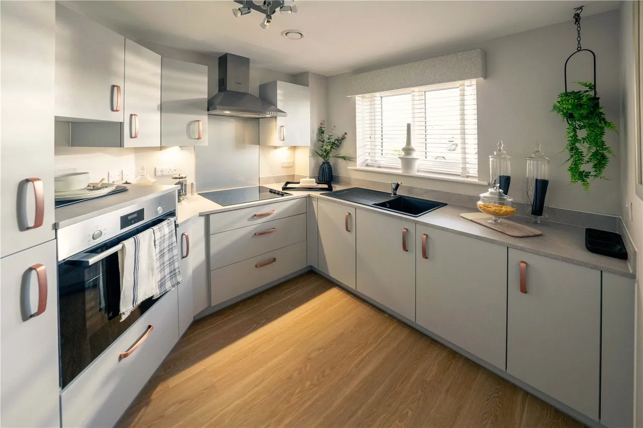 Thomas Wolsey Place, Ipswich, IP4, photo 4