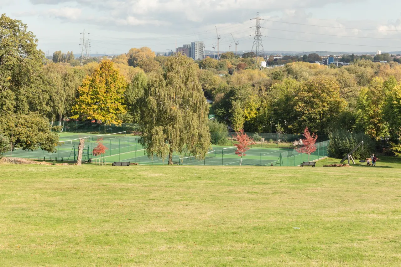 Alder Point, Blackhorse View, E17, photo 7