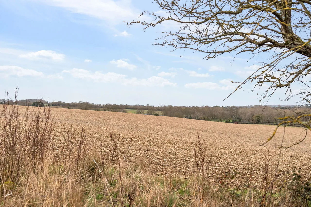 'AURA' Westmill, Buntingford, SG9, photo 14