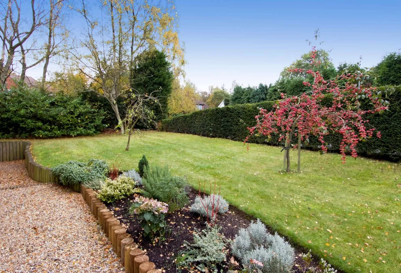 The Rise, Sevenoaks, TN13, photo 12