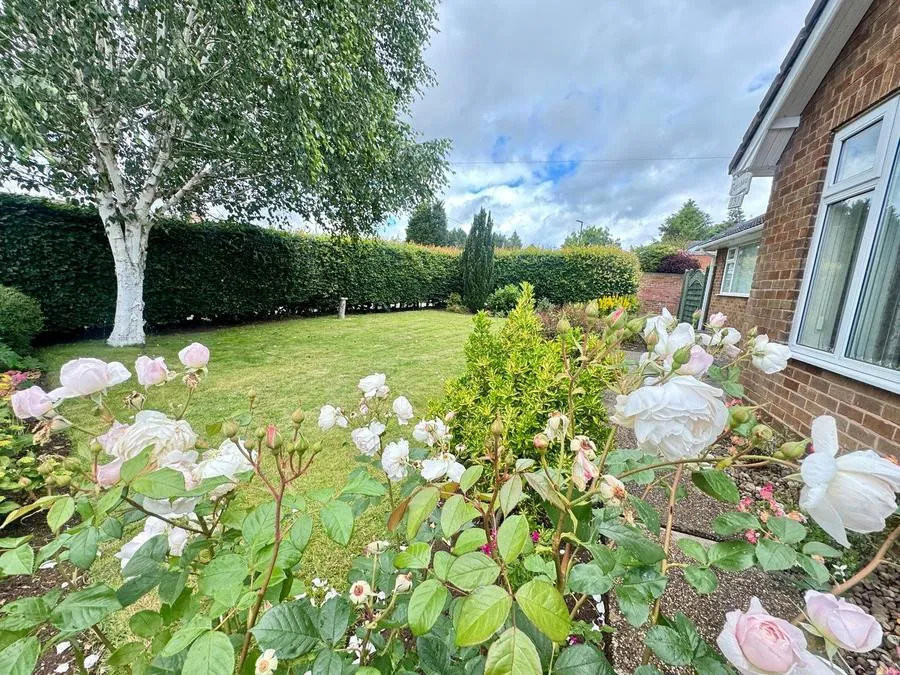 Main Street, Shirebrook, NG20, photo 32