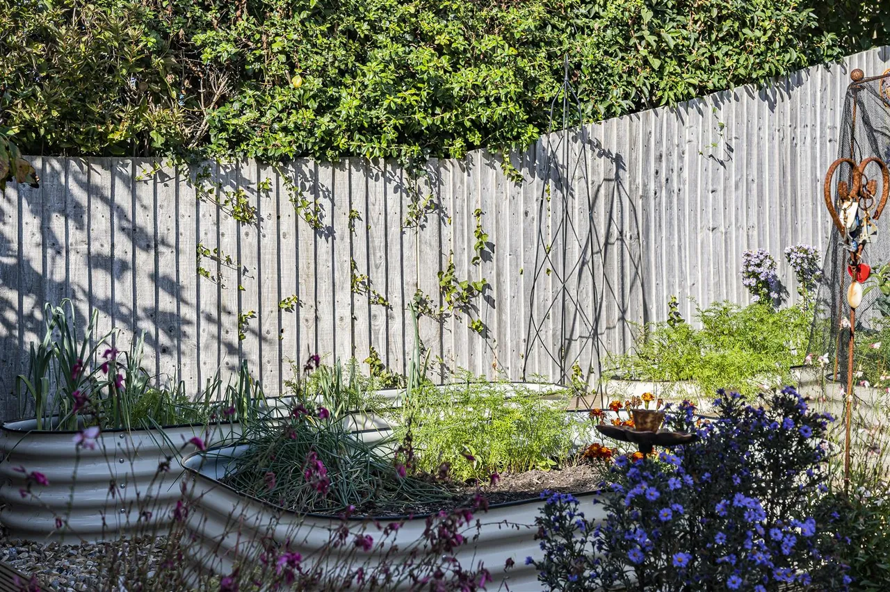 Kingston Avenue, Seaford, photo 32