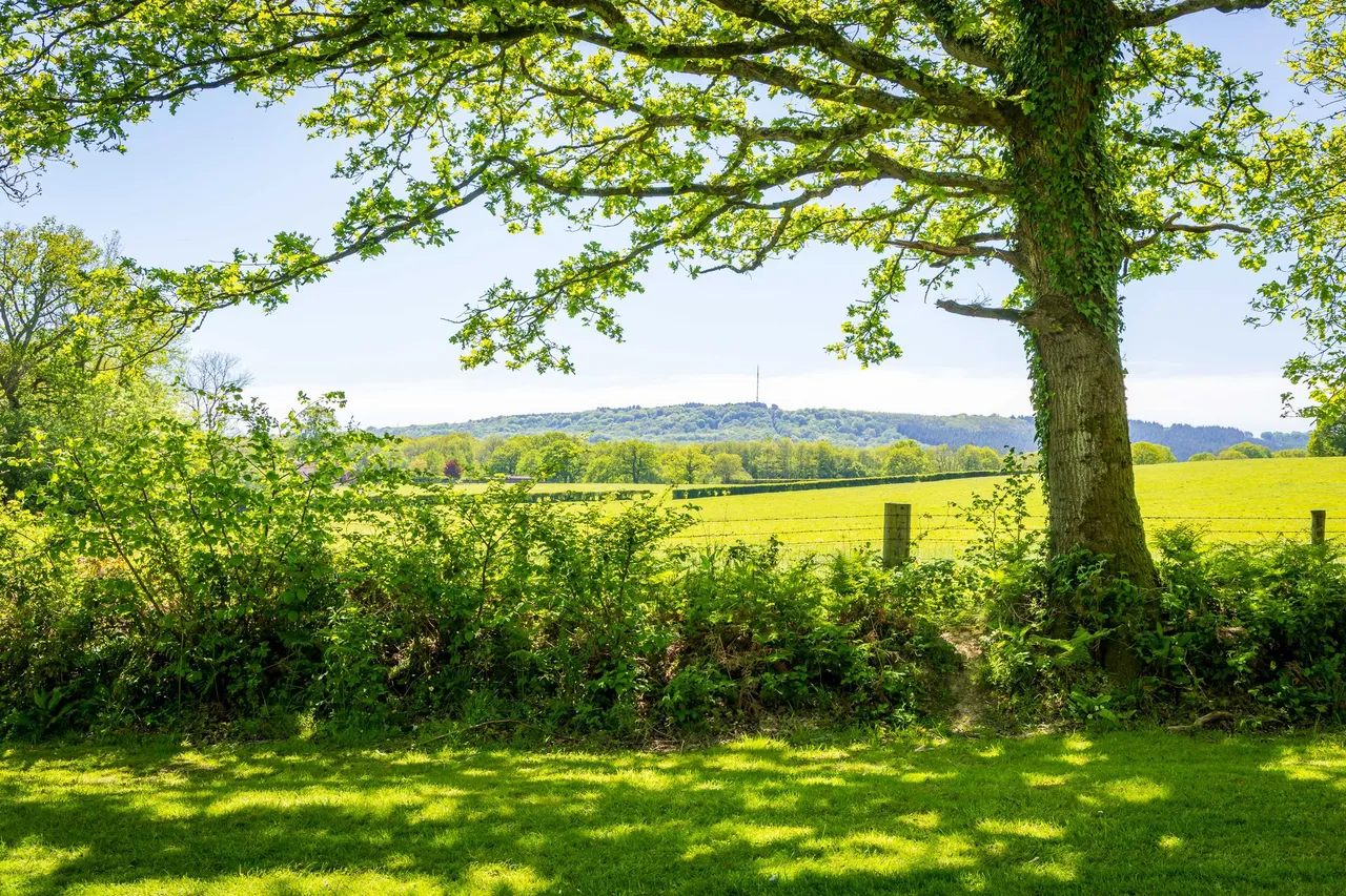 Dial Green, Lurgashall, GU28, photo 3