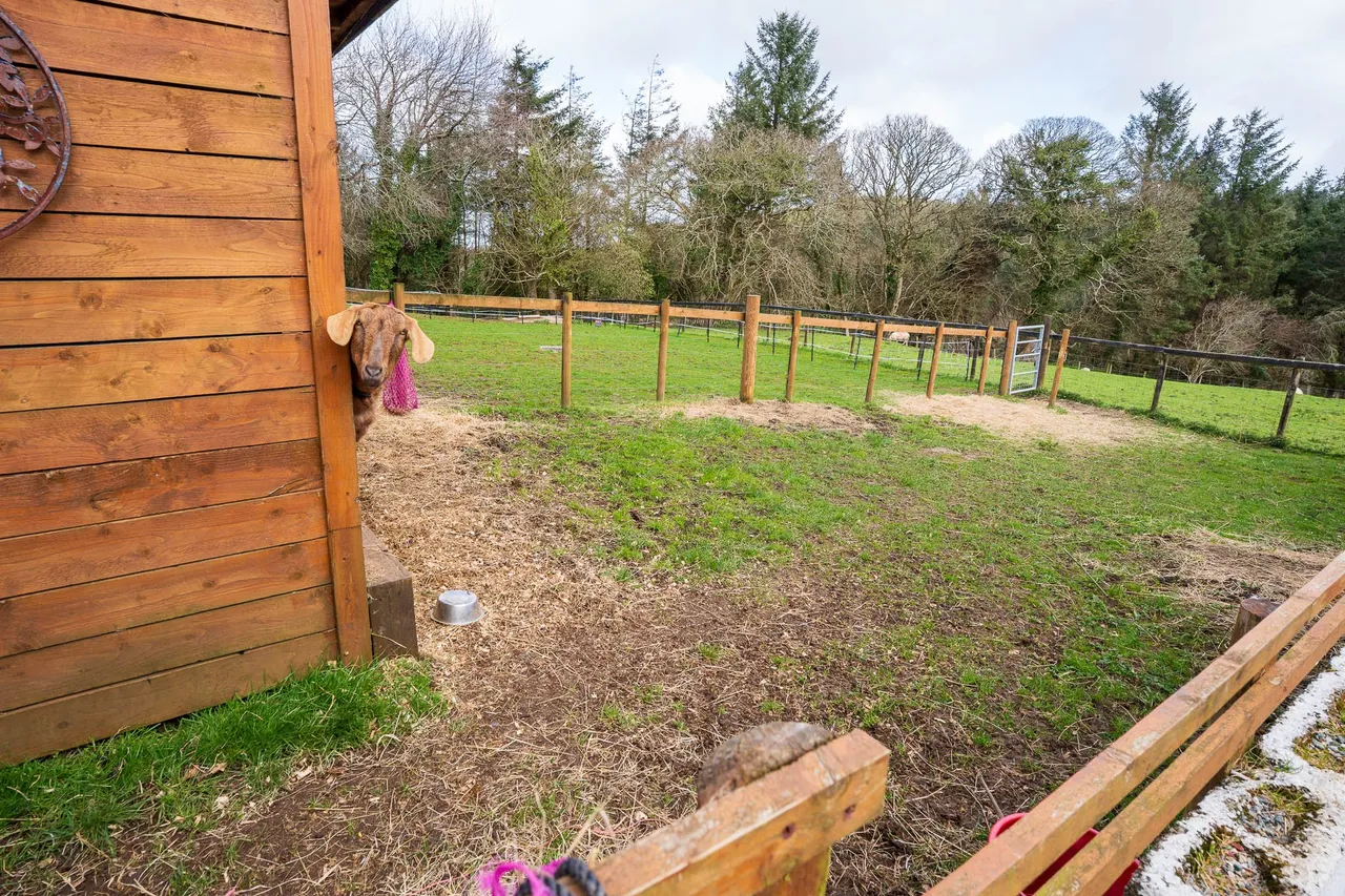 Ger Yr Efail, Boduan, Pwllheli, Gwynedd, LL53 8UF, photo 4