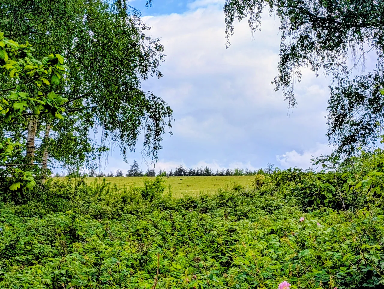 The Street, Stedham, GU29, photo 2
