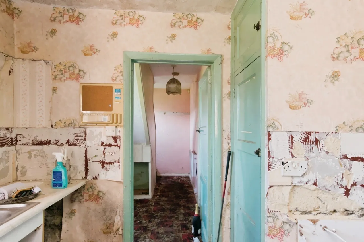 Ashburnham Drive, Brighton, BN1, photo 21