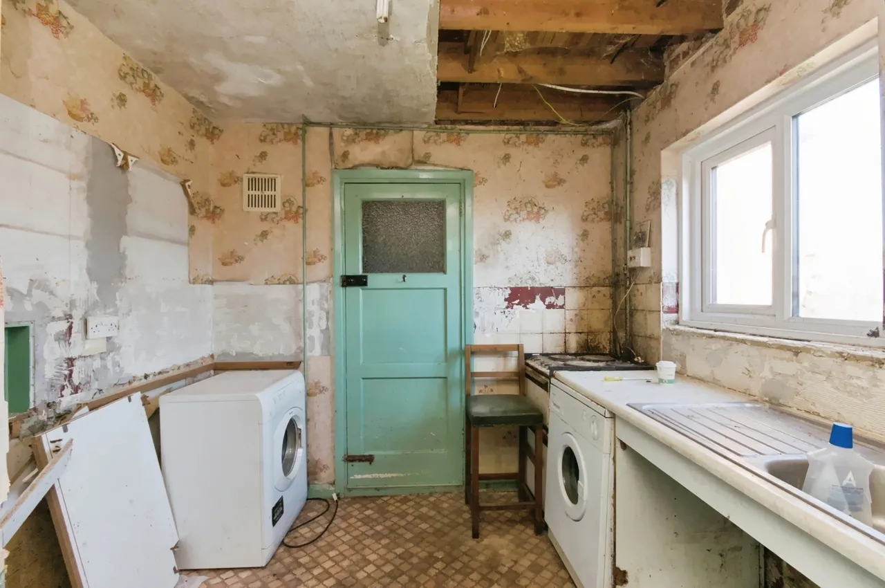 Ashburnham Drive, Brighton, BN1, photo 20