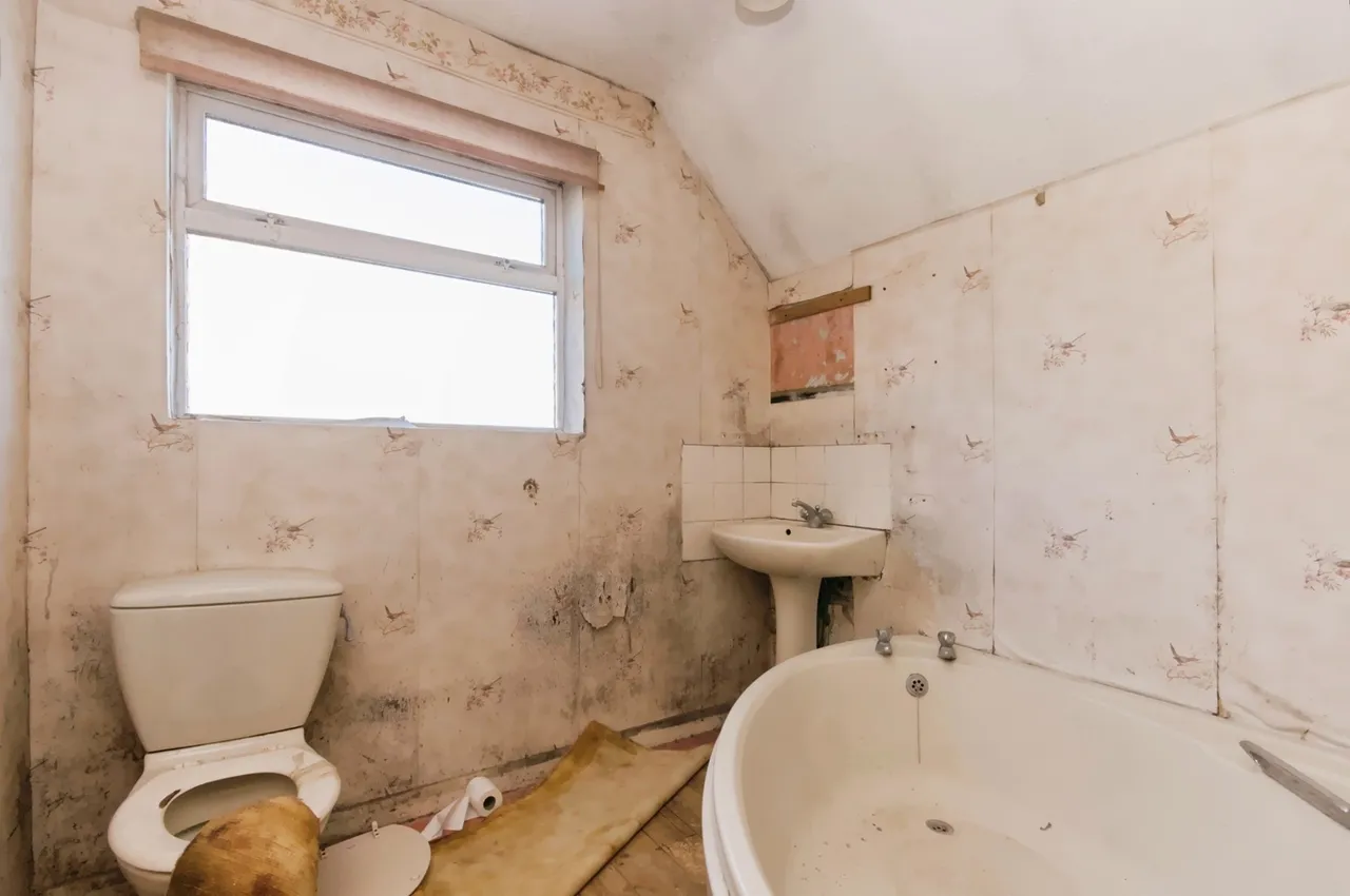 Ashburnham Drive, Brighton, BN1, photo 22
