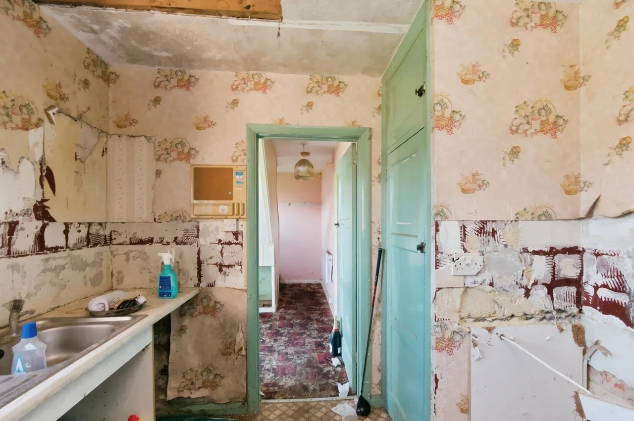 Ashburnham Drive, Brighton, BN1, photo 15