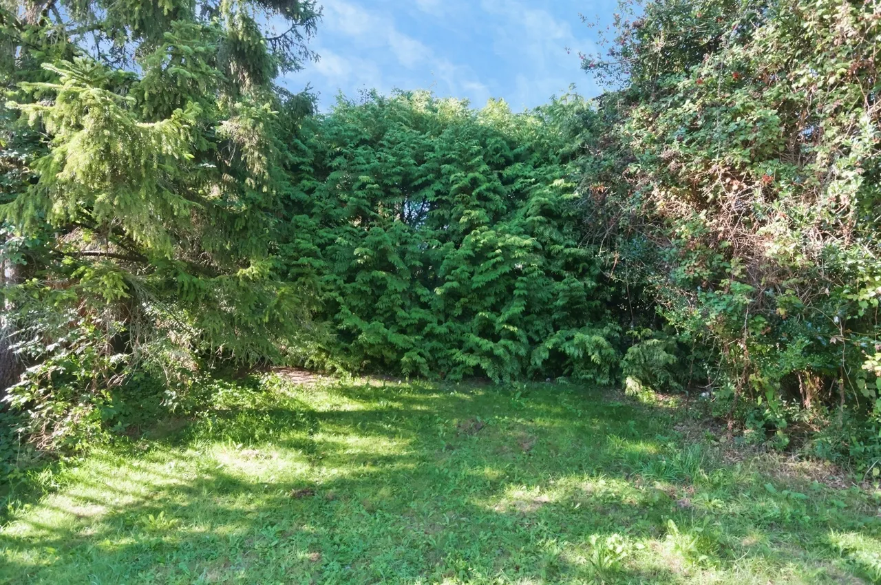 Ashburnham Drive, Brighton, BN1, photo 6