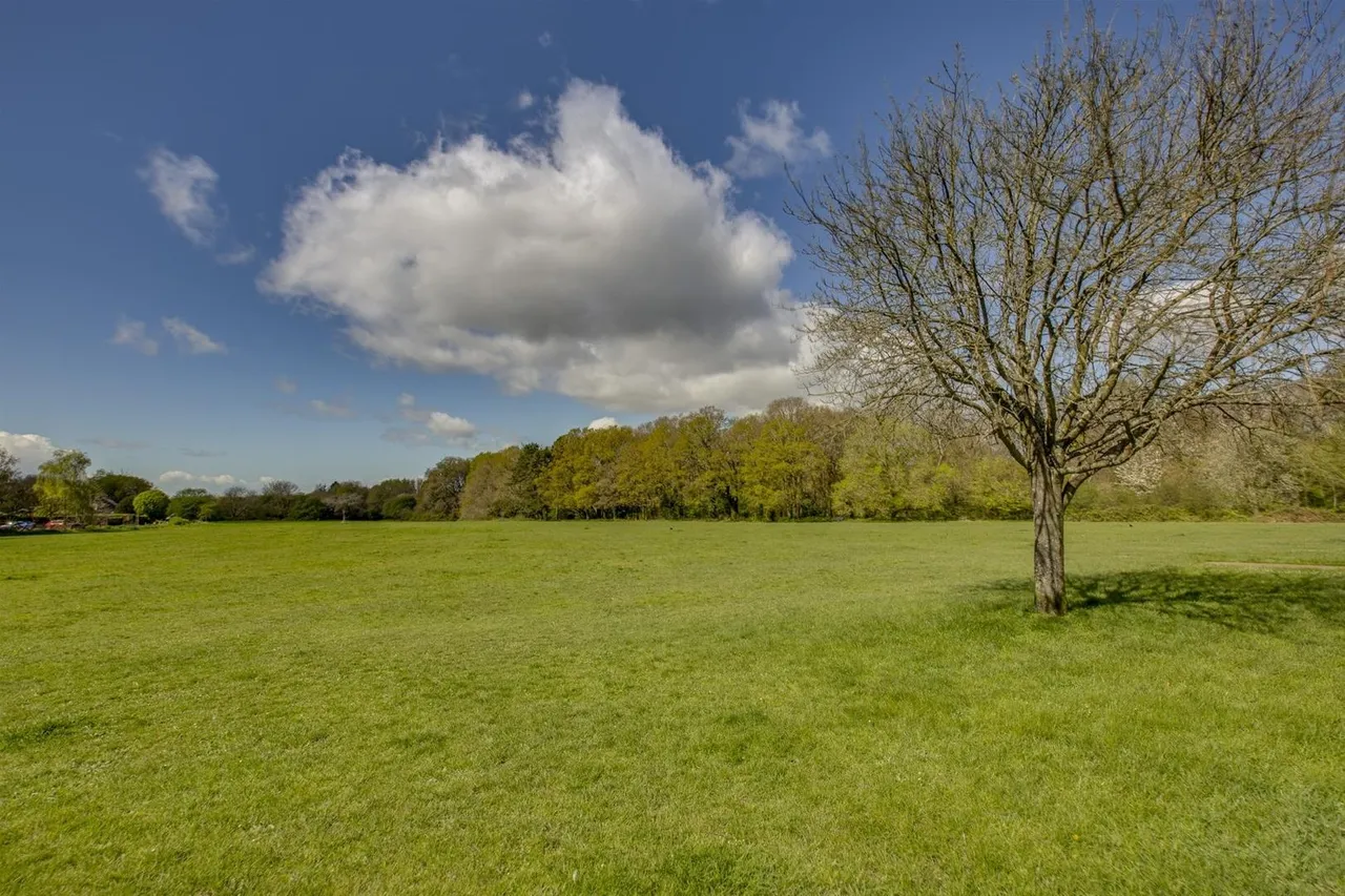 Limmer Lane, High Wycombe, HP12, photo 24
