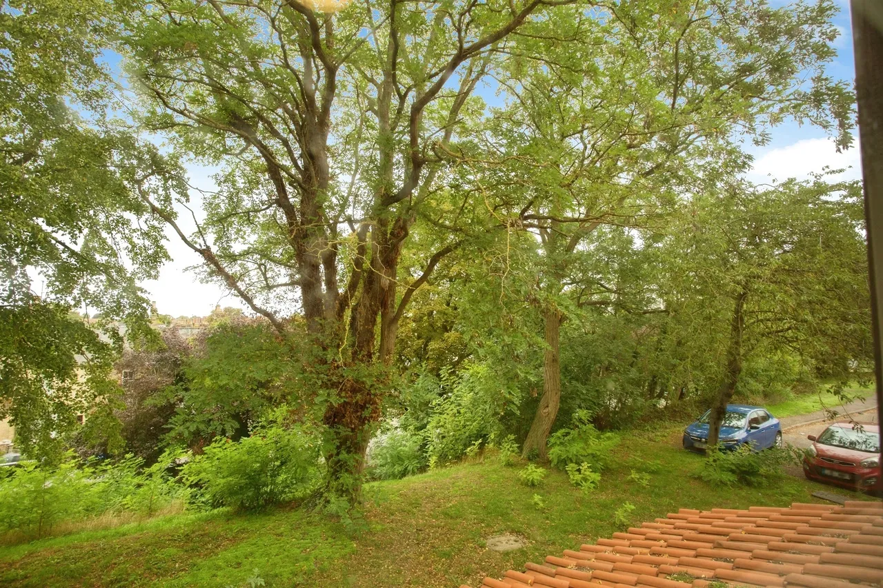 Armstrong Close, Newmarket, CB8, photo 11