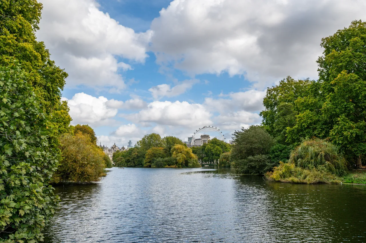 London, SW1Y, photo 12