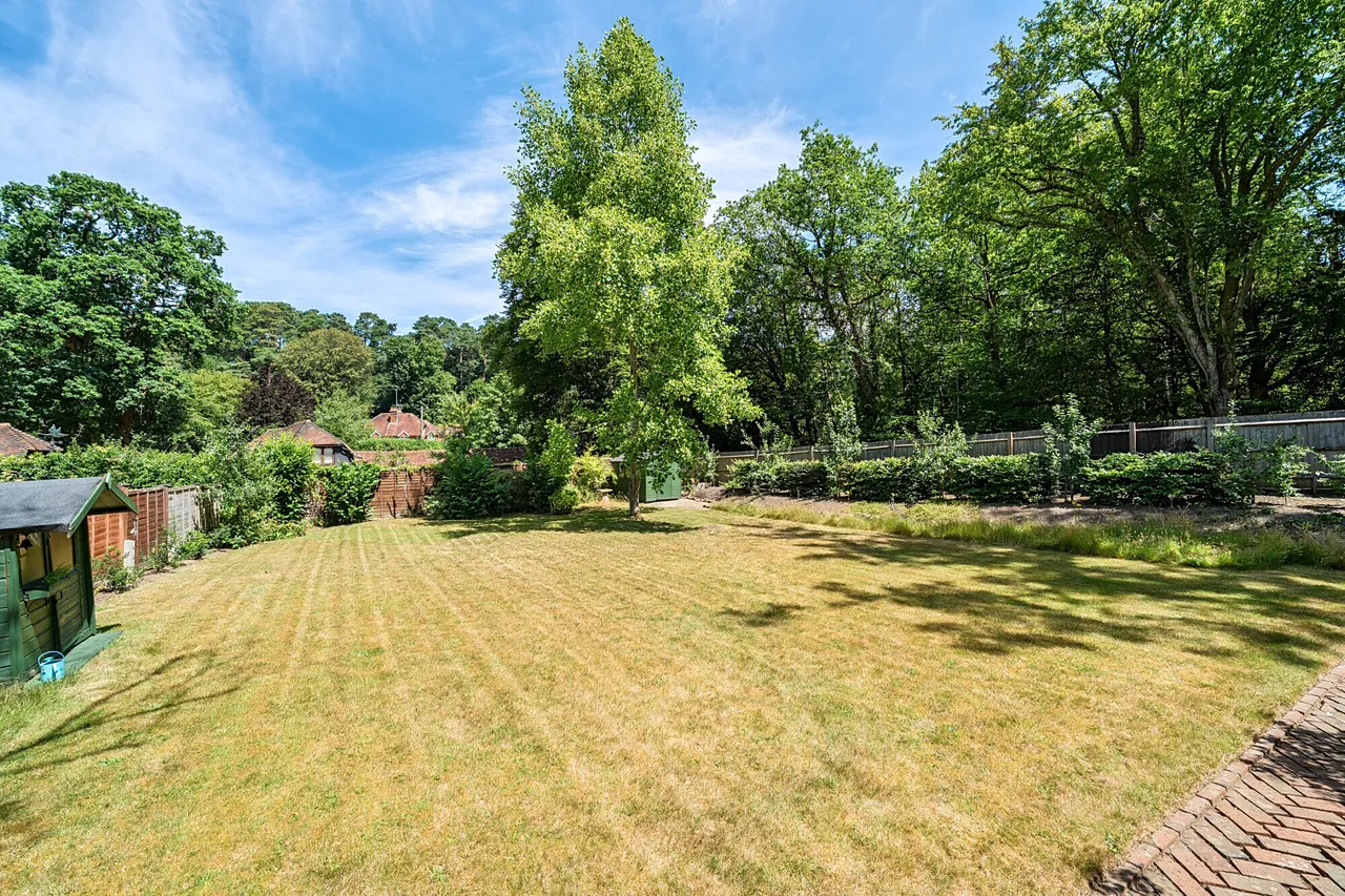 Farnham Road, Churt, Farnham, GU10, photo 8