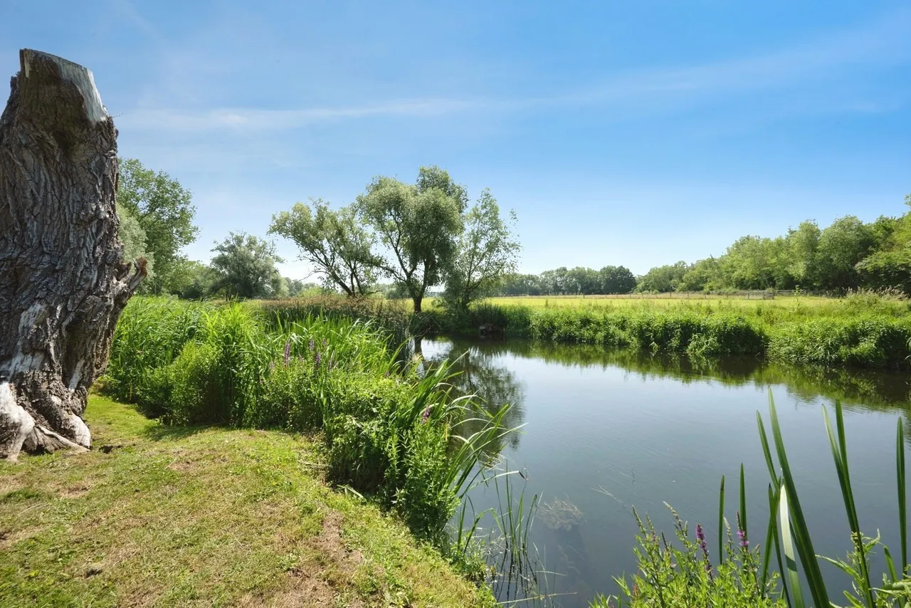 Folly Park, High Street, Clapham, Bedford, MK41, photo 5