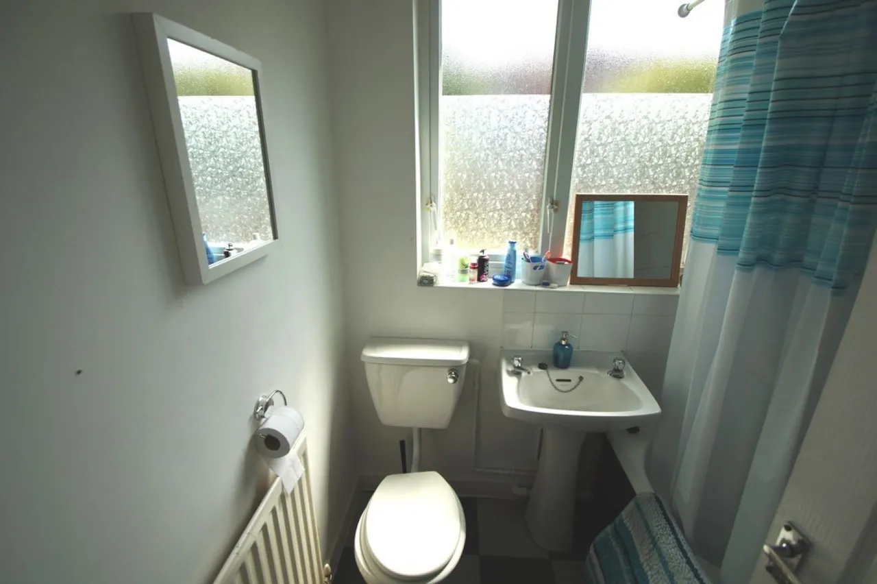 Harnall Lane East, Hillfields, CV1, photo 4