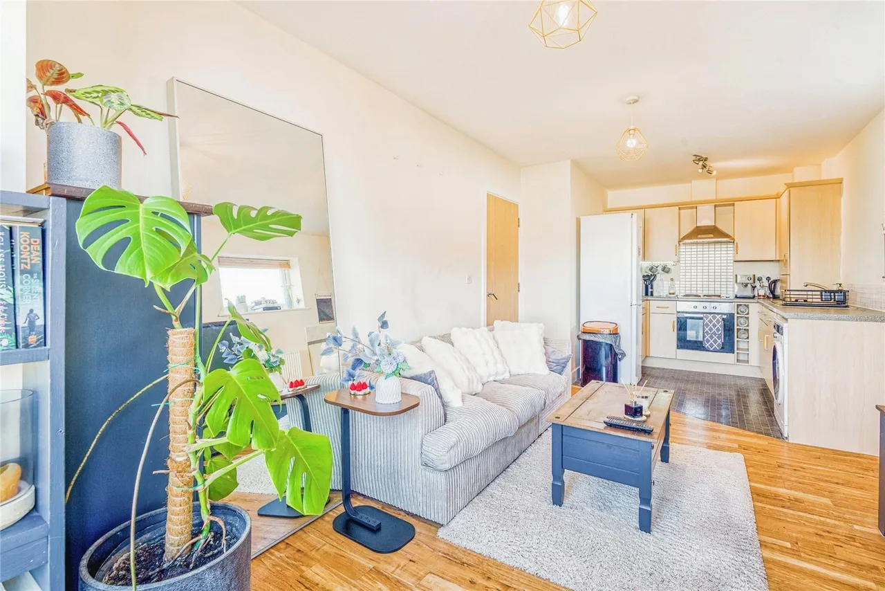 Cromwell Street, Bristol, BS3, photo 10