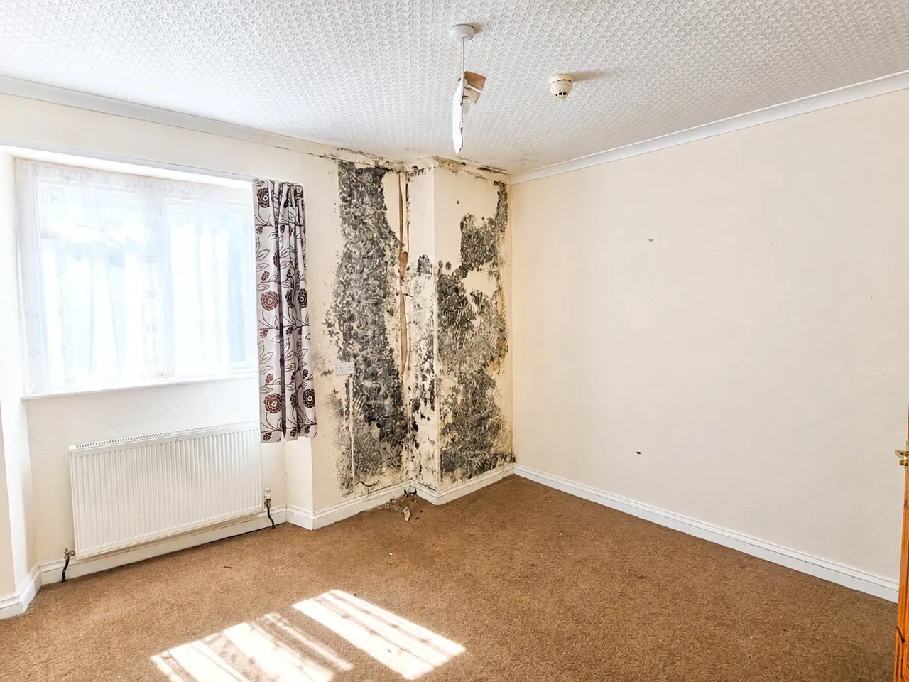 South Street, Torrington, EX38, photo 12