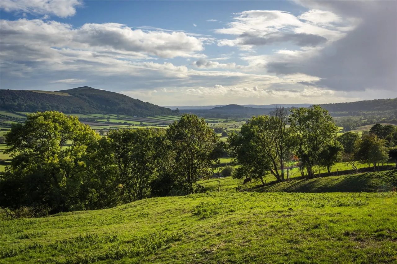 Banwell, BS29, photo 17