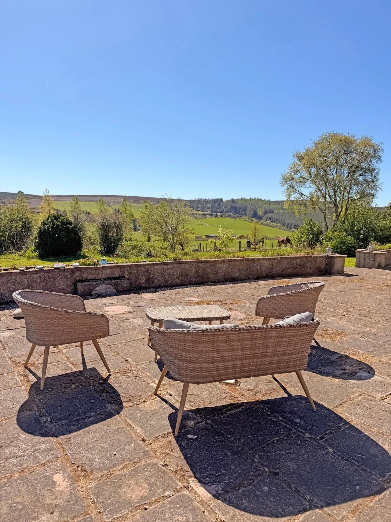 Drybridge, Buckie, AB56, photo 27