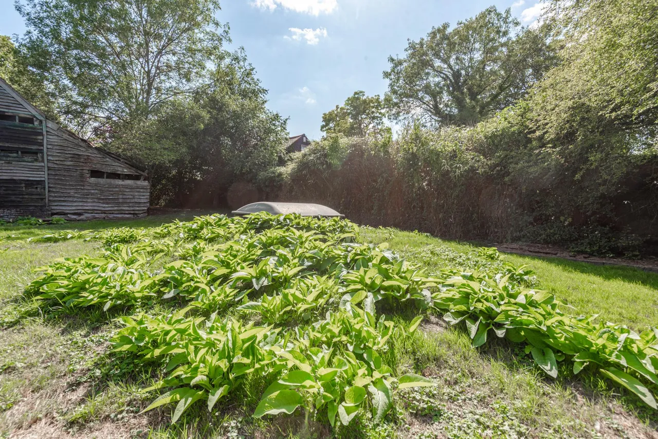 Barn For Conversion, Holyfield, photo 14