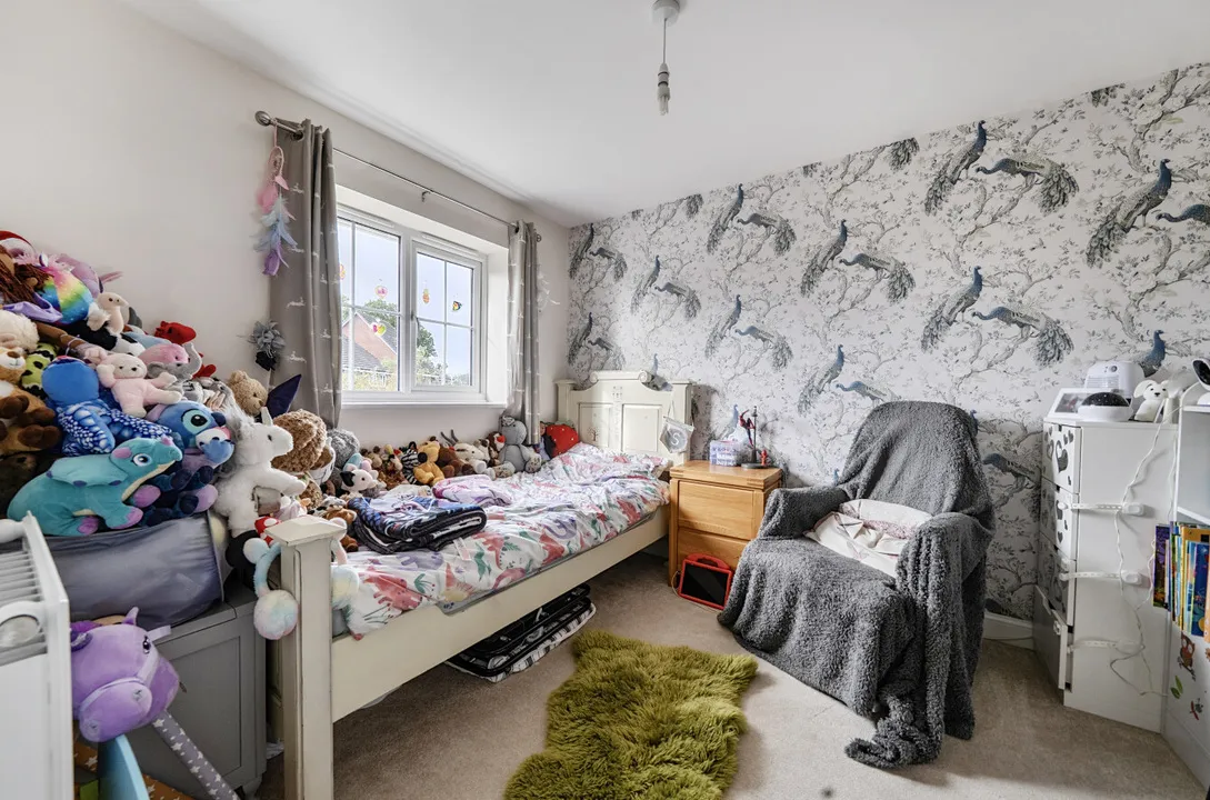 Common View, Hereford, Herefordshire, photo 11