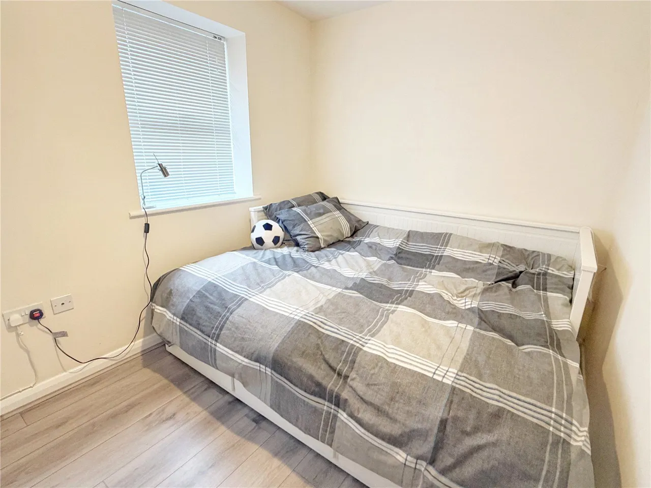 Mary Street, Heywood, OL10, photo 11