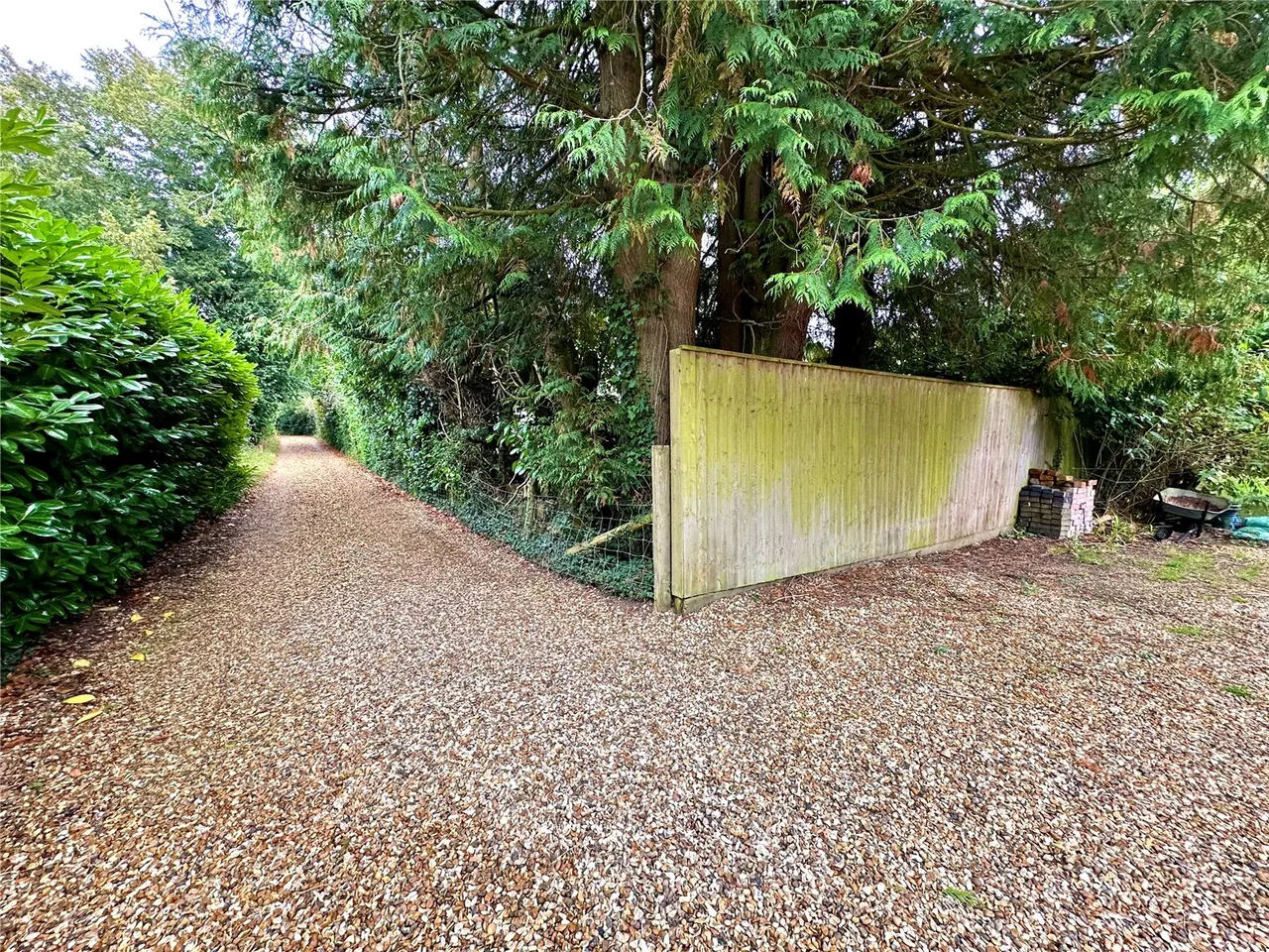 Bisterne Close, Burley, BH24, photo 22