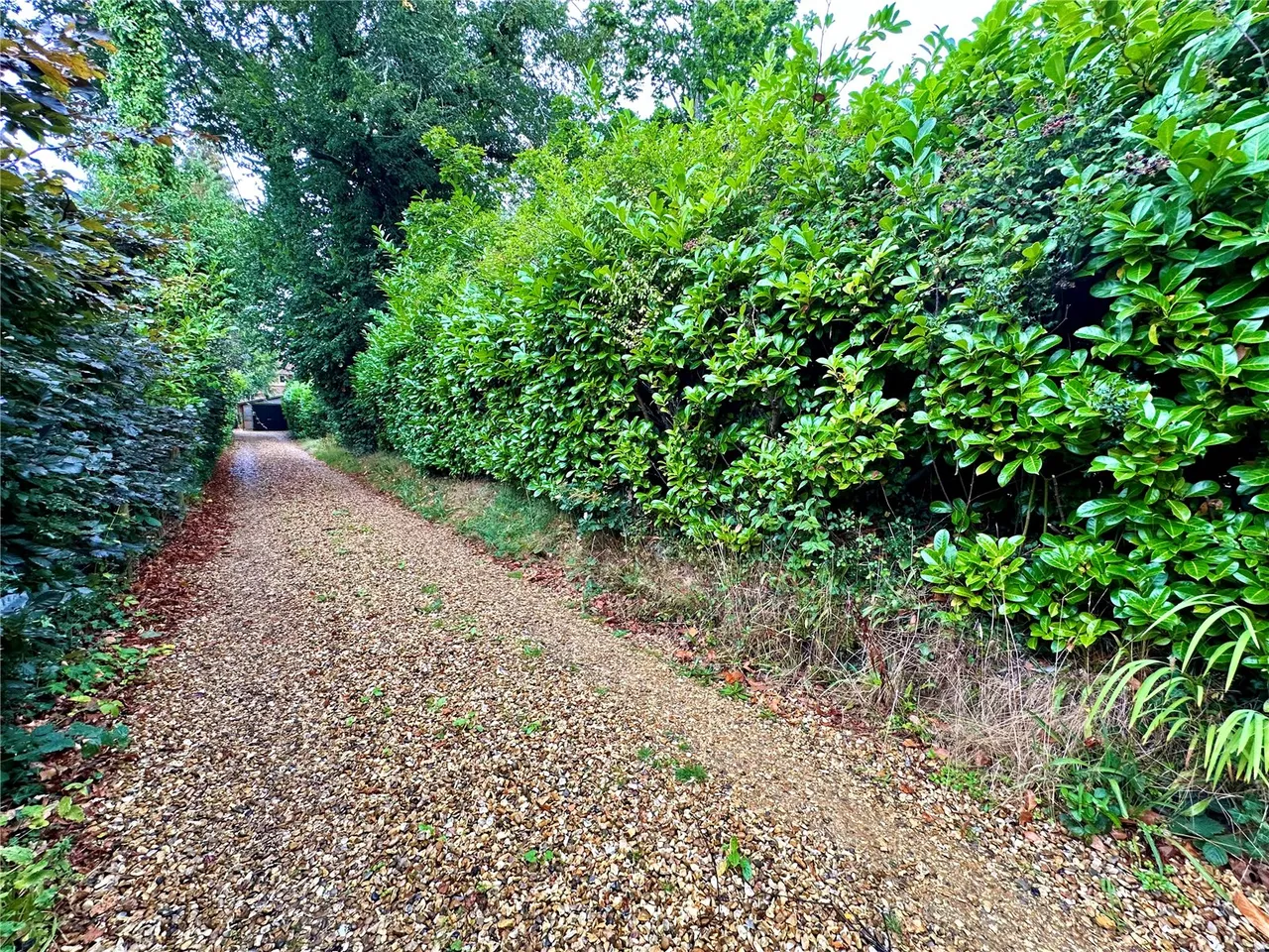 Bisterne Close, Burley, BH24, photo 24