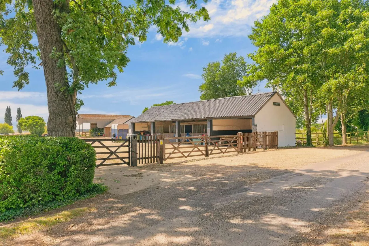 Cross Drove, Gedney Hill, PE12, photo 22