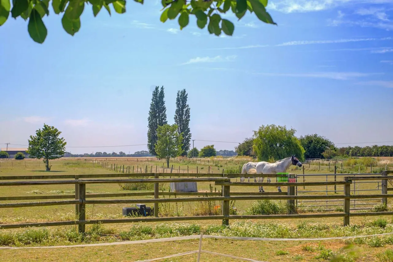 Cross Drove, Gedney Hill, PE12, photo 27