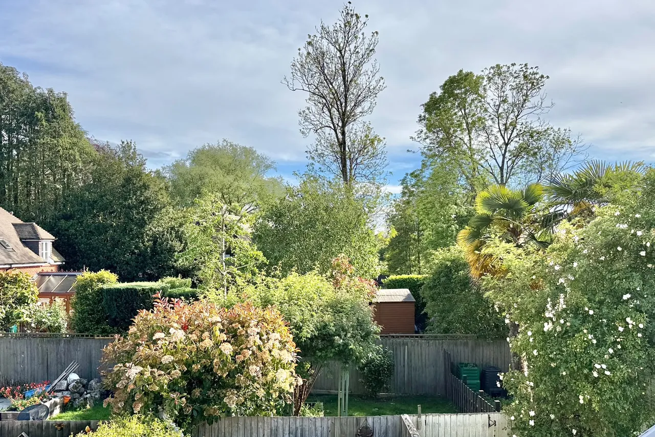 The George Mews, Ringwood, BH24, photo 13