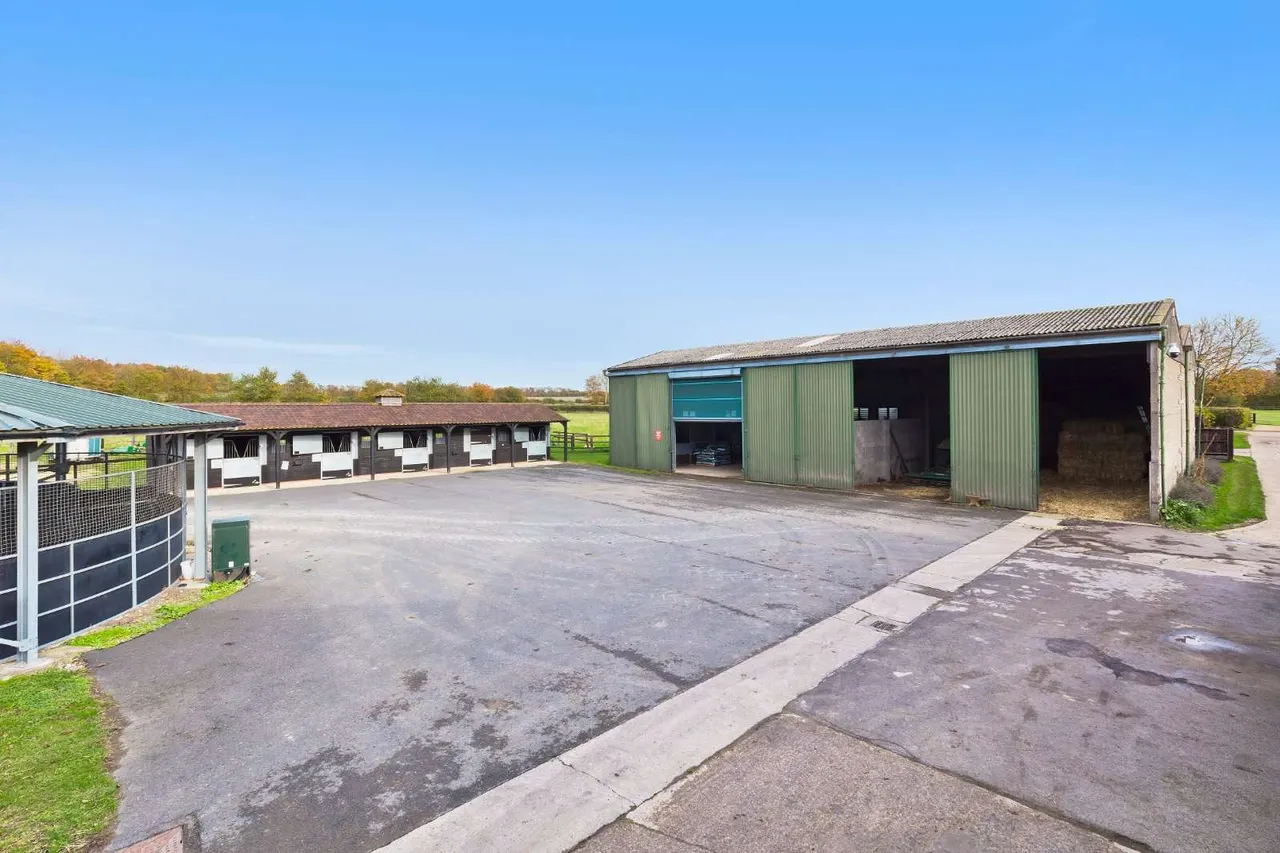 Bottisham Heath Stud, Six Mile Bottom, Newmarket, Cambridgeshire, CB8 0TT, photo 9
