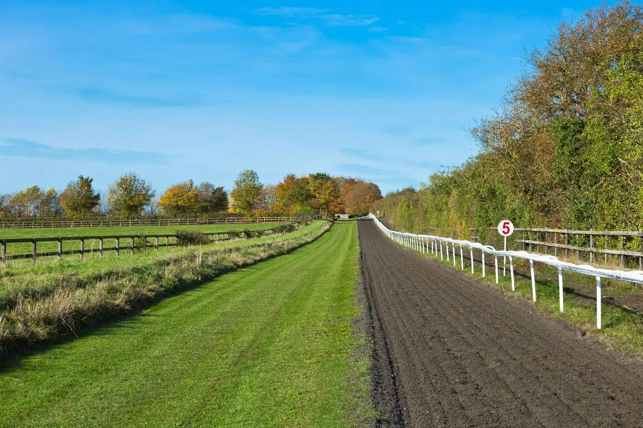 Bottisham Heath Stud, Six Mile Bottom, Newmarket, Cambridgeshire, CB8 0TT, photo 4