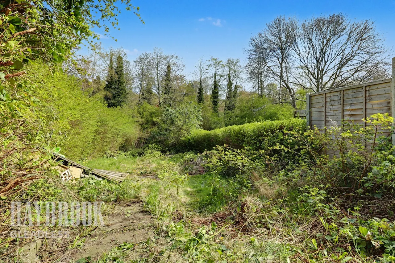 Hollybank Avenue, Sheffield, photo 15