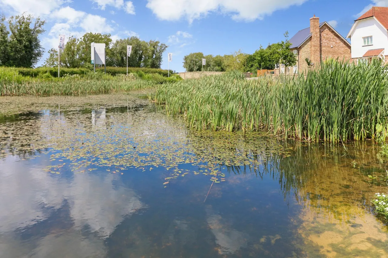 The Hamlet, Chilmington Green, TN23, photo 18