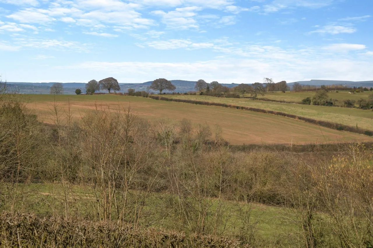 Woodside, Welsh Newton Common, NP25, photo 34