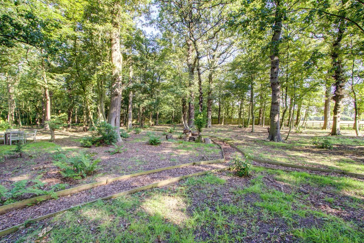 Middle Drive, Woolsington, NE13, photo 48