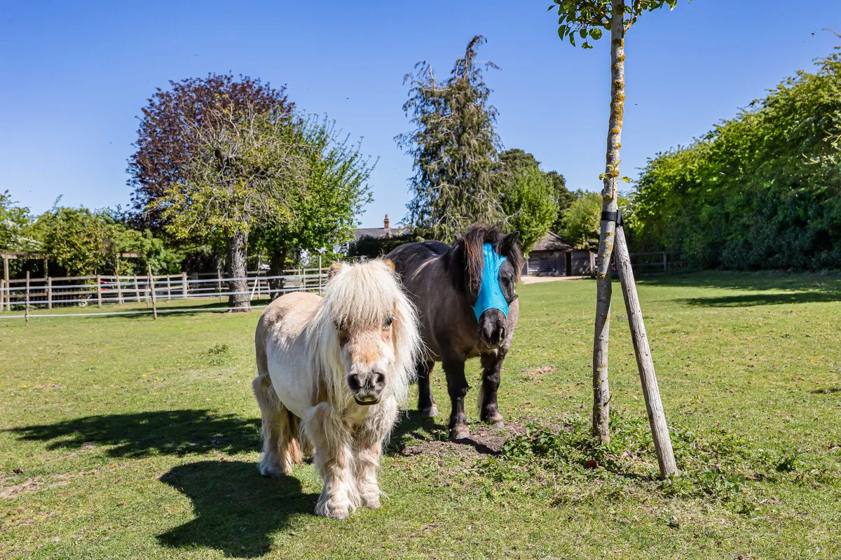 Roke Marsh, Wallingford, OX10, photo 25