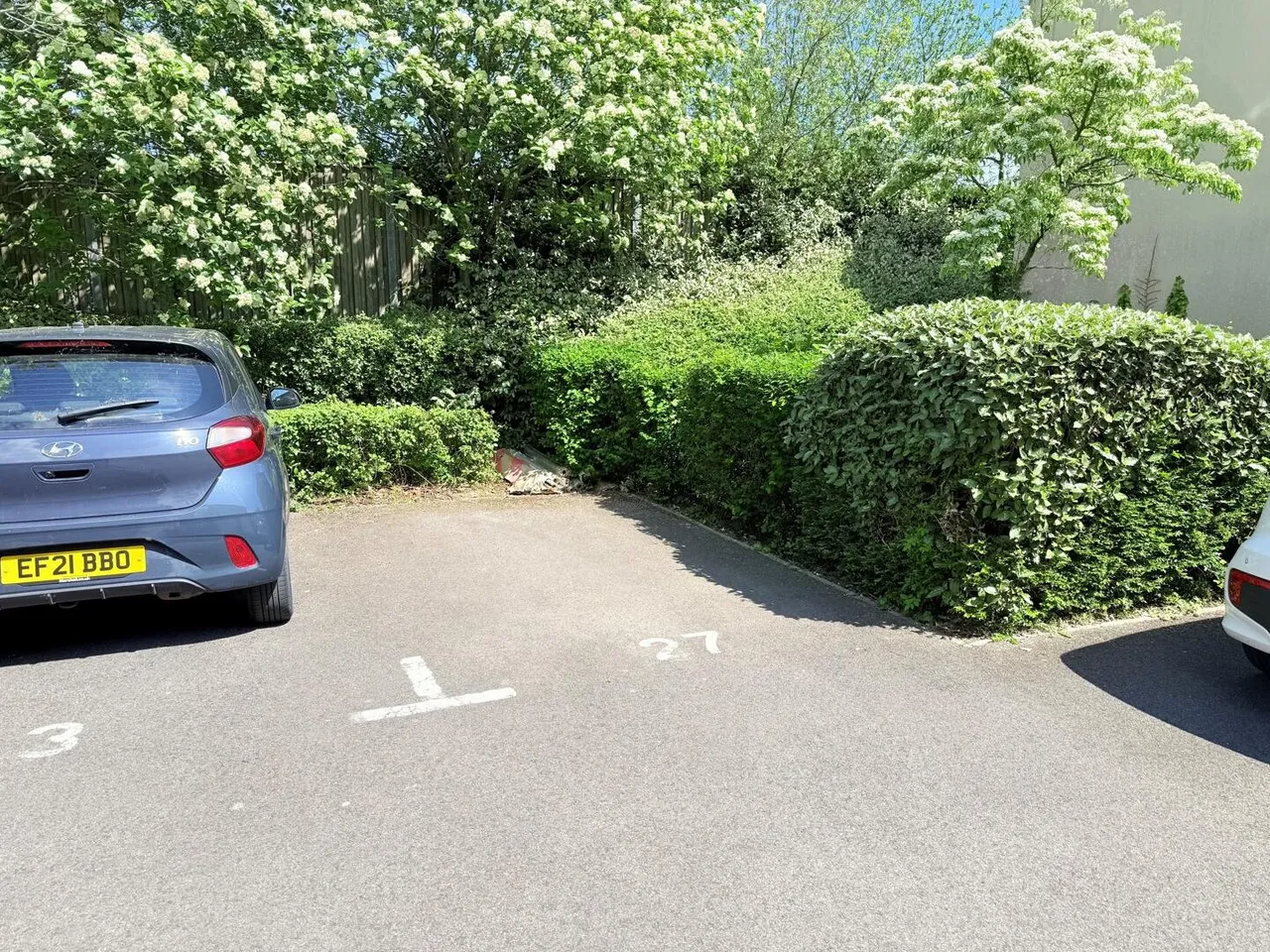 Marleys Way, Frome BA11 3NG, photo 12