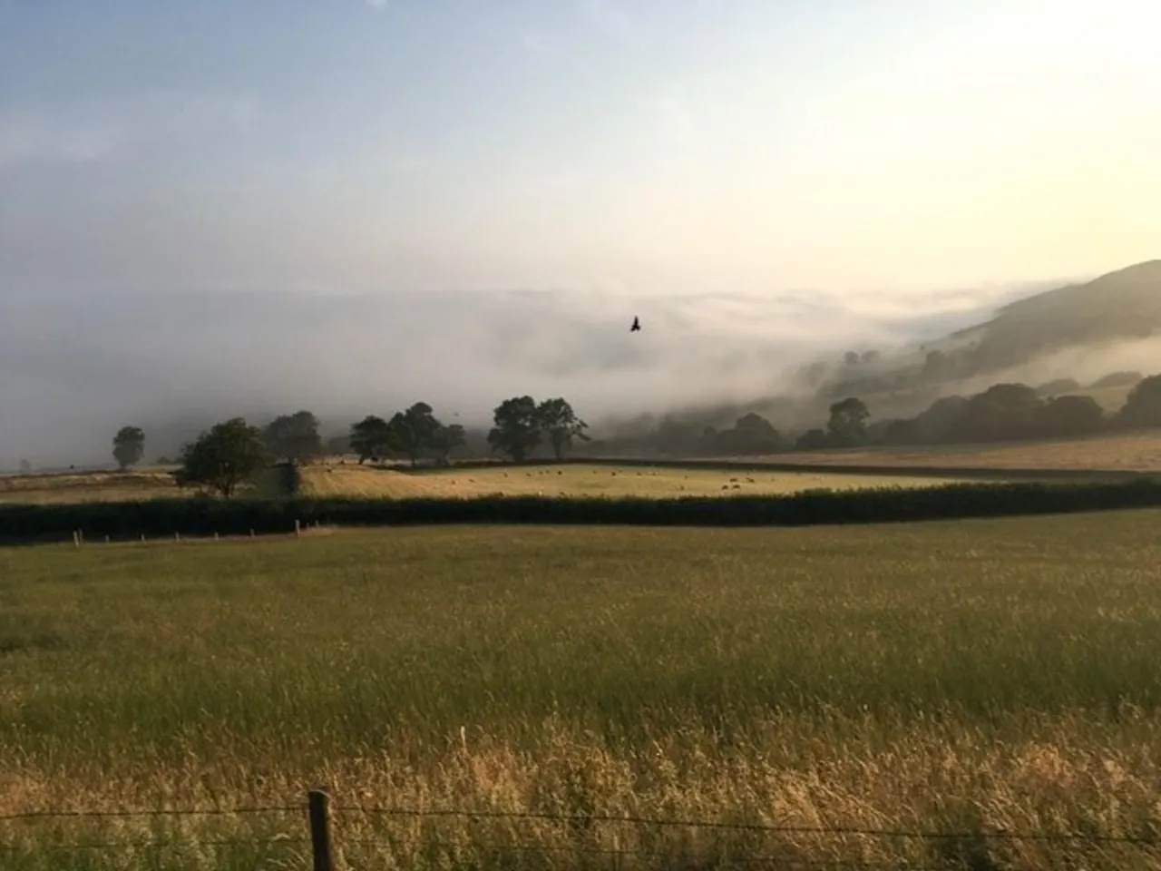 Talybont, SY24, photo 39