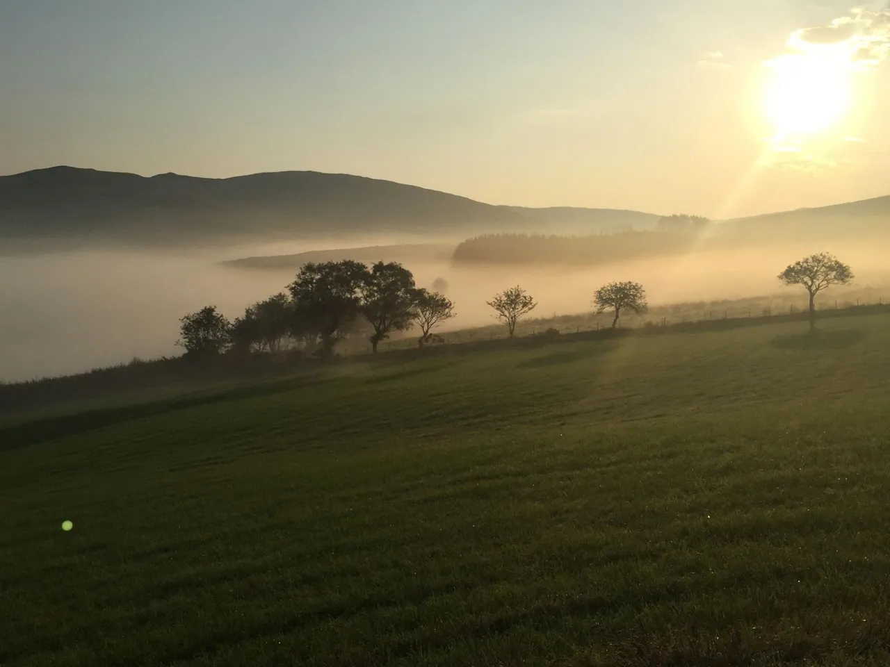 Talybont, SY24, photo 43