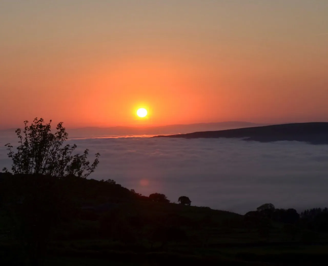 Talybont, SY24, photo 40