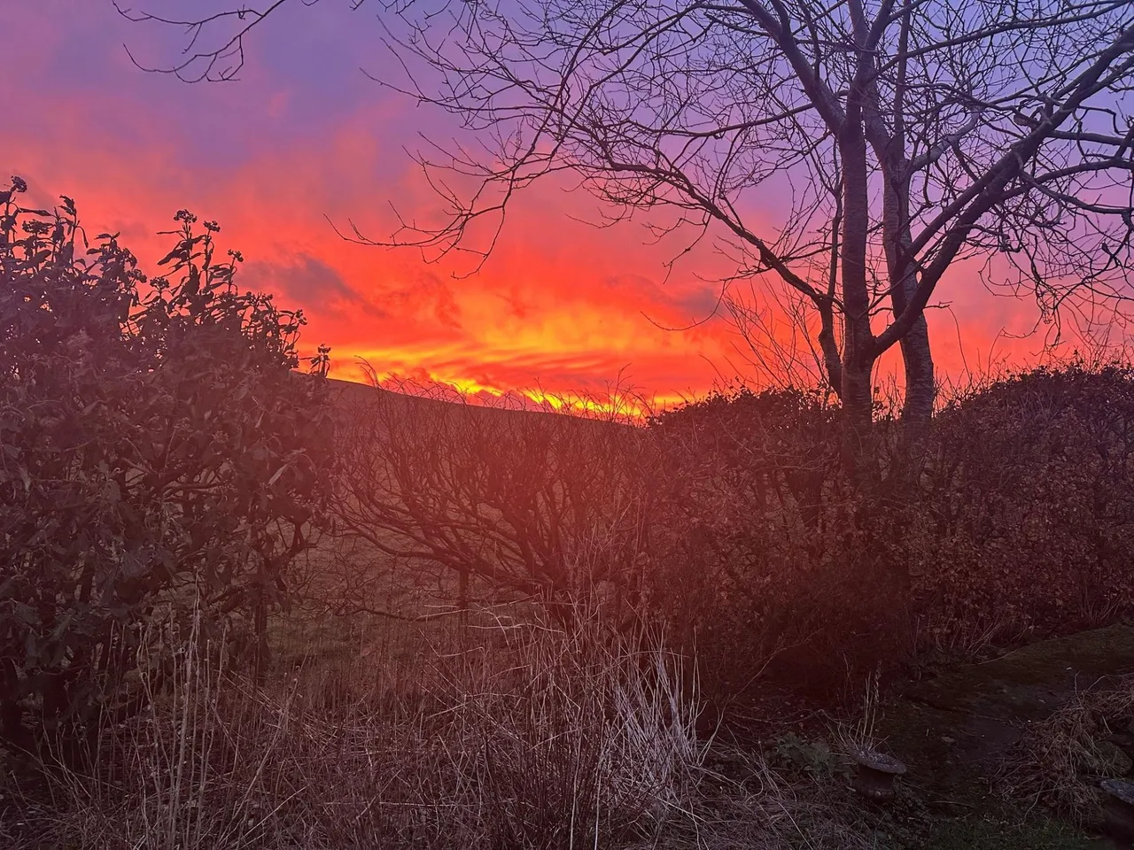 Talybont, SY24, photo 44