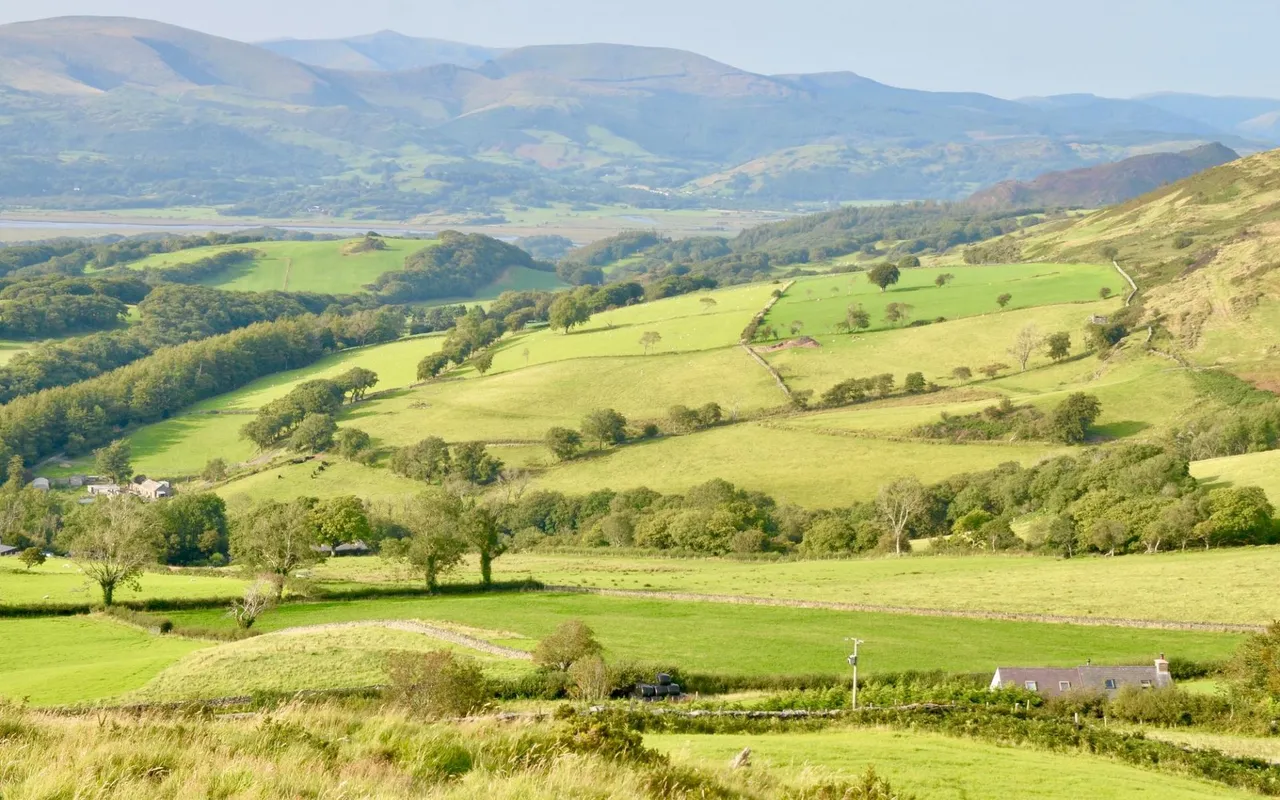 Talybont, SY24, photo 38