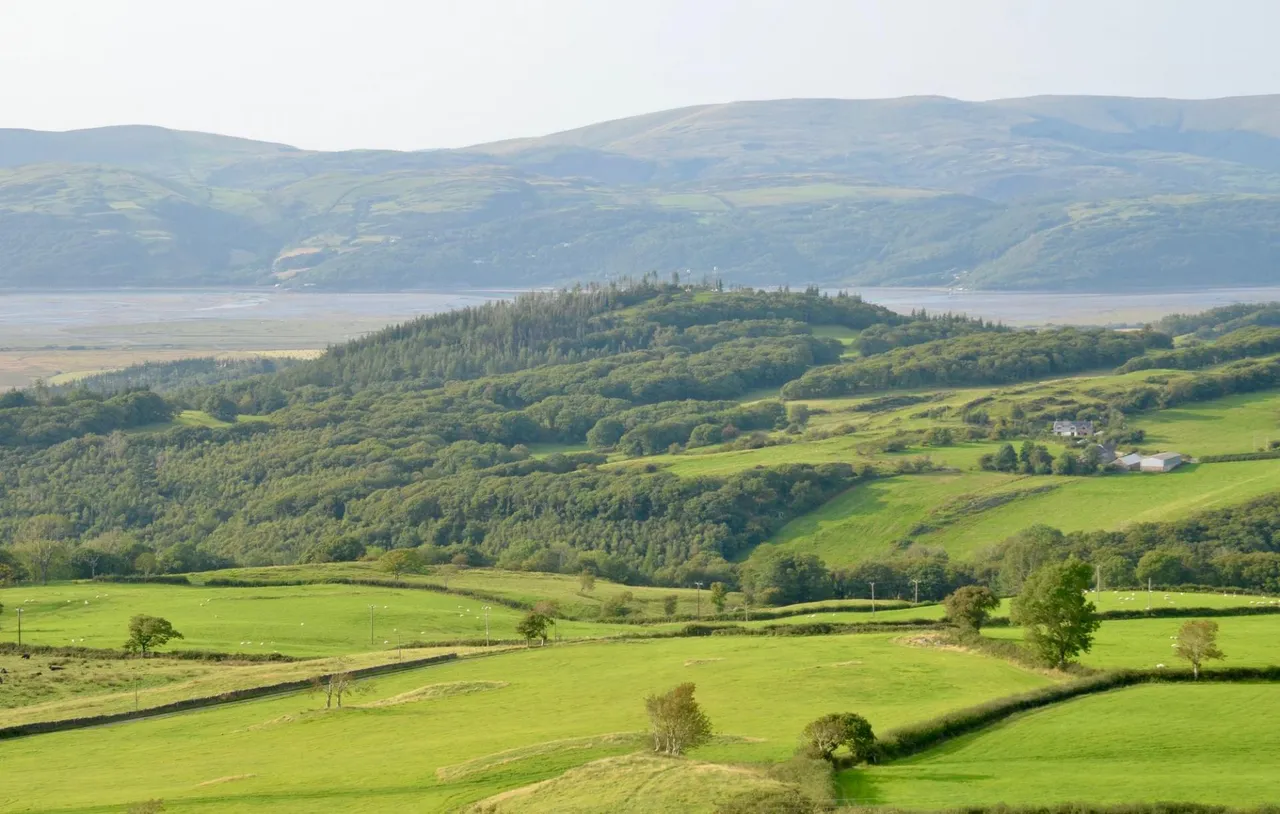 Talybont, SY24, photo 37