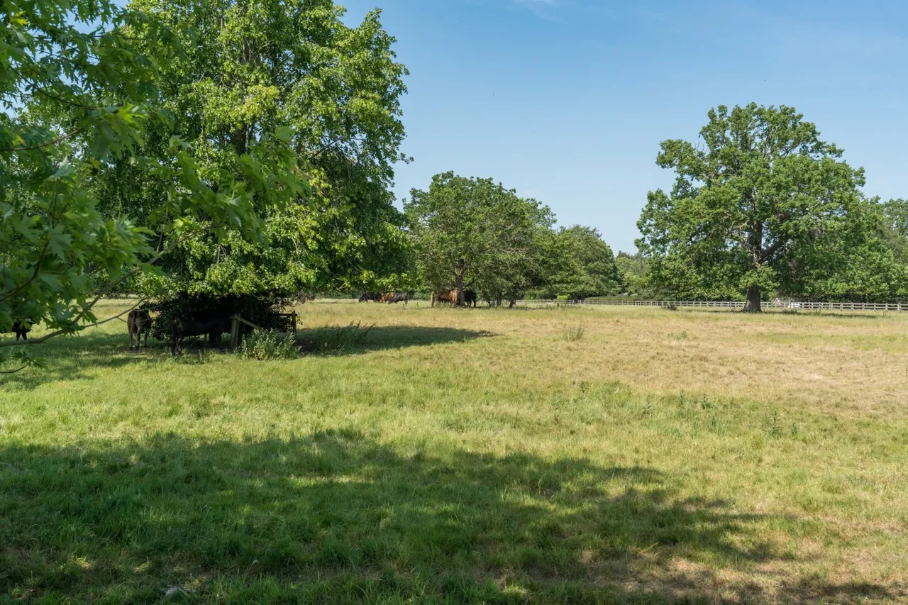 Birchwood Road, Dedham, CO7, photo 41
