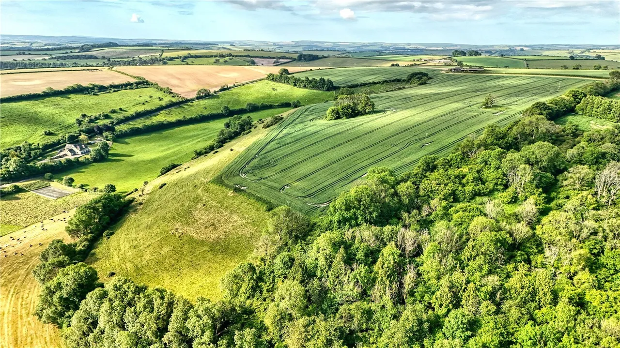 Sydling Road, Cerne Abbas, DT2, photo 33