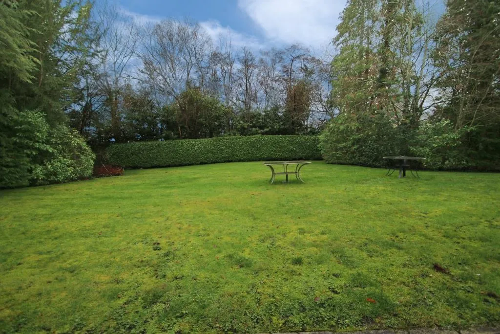 St. Johns Hill Road, Woking, GU21, photo 10