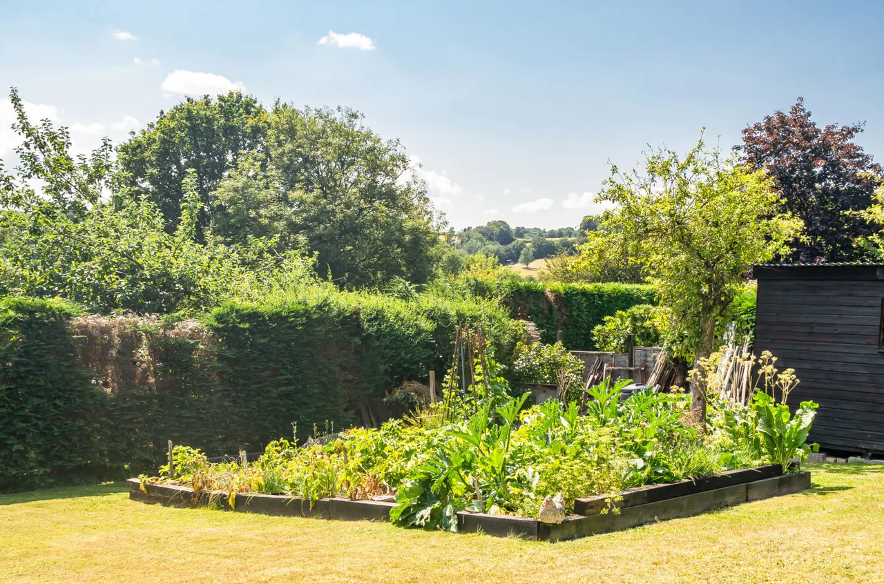 Jury Road, Dulverton, TA22, photo 22